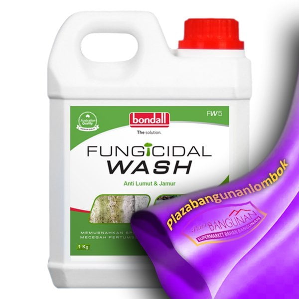 FUNGICIDAL WASH - FW 5 1KG