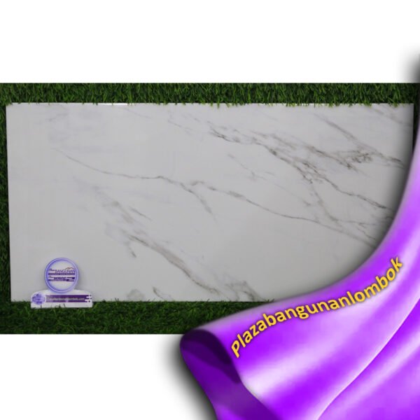 dANTILIA CARRARA 30X60 KW1