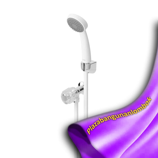 TX402SN Hand Shower Set w/Stop Valve